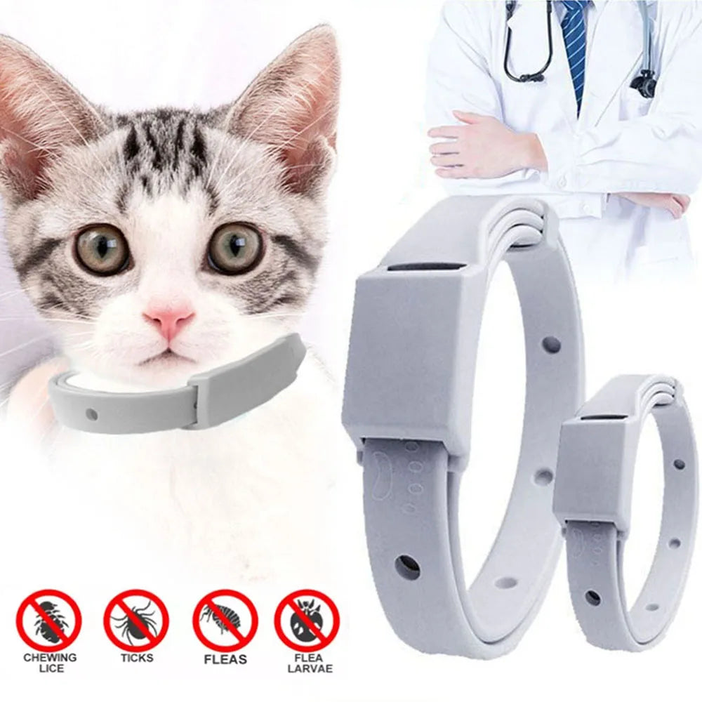 Bella Anti Flea Tick Collar For Cat Anti parasitic.