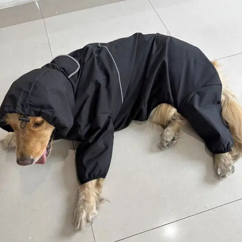 Max Dog Waterproof Jacket Raincoat