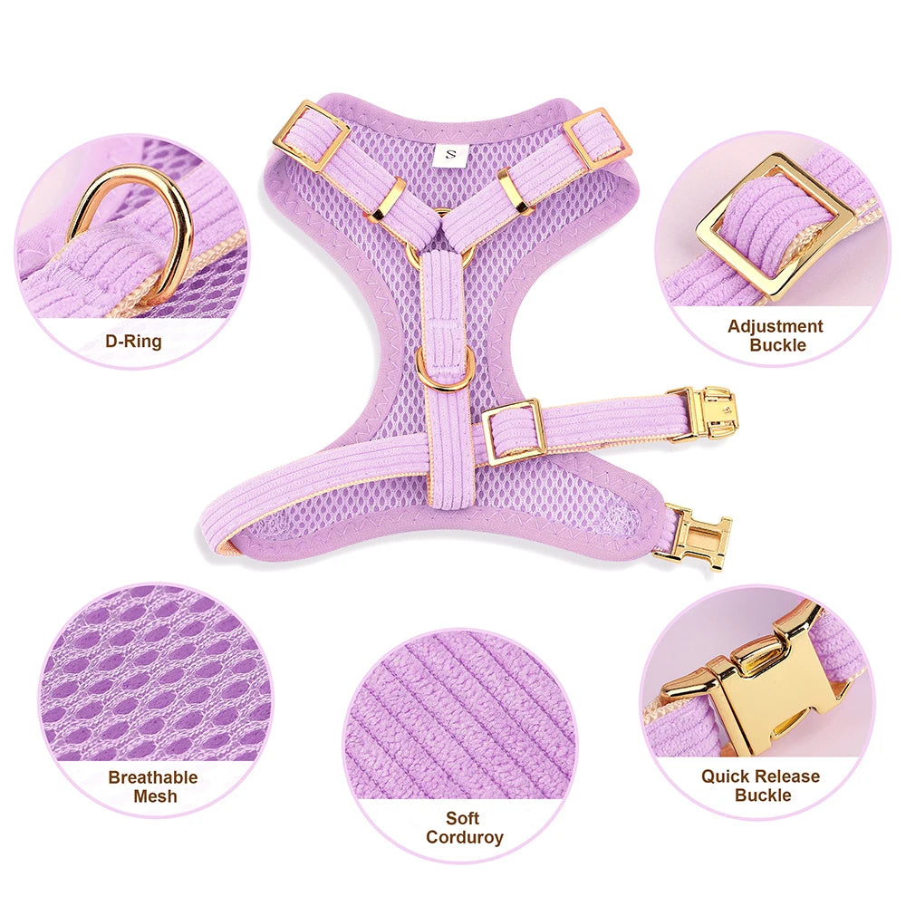 Bella Cat Collar Harness Leash Set Mesh Breathable