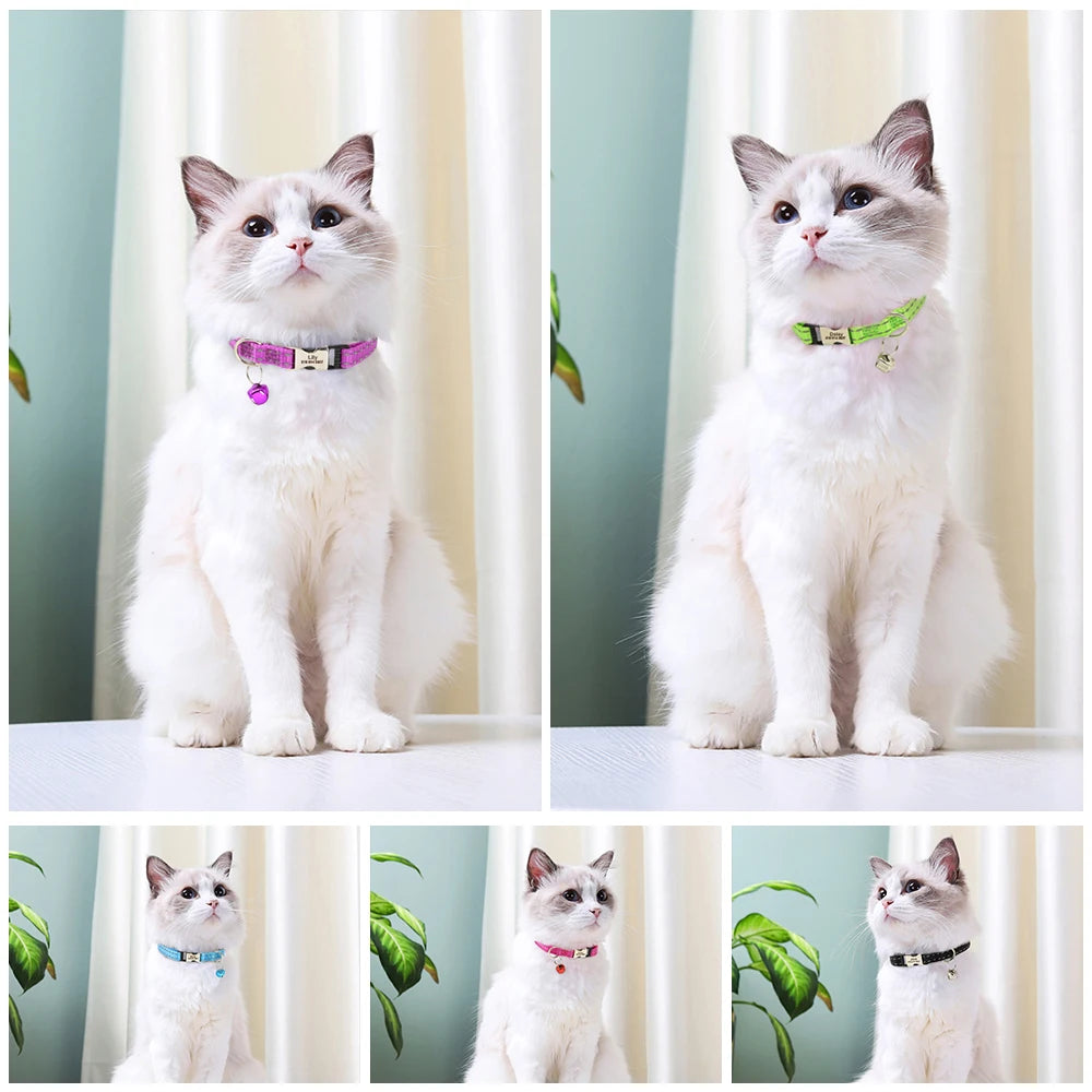 Bella Cat ID Collar Reflective With Bell Free