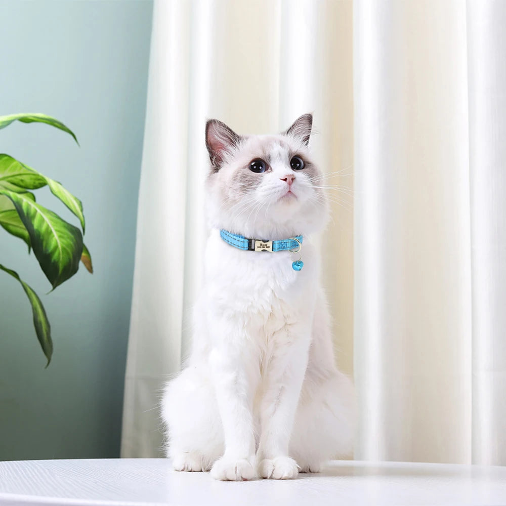 Bella Cat ID Collar Reflective With Bell Free