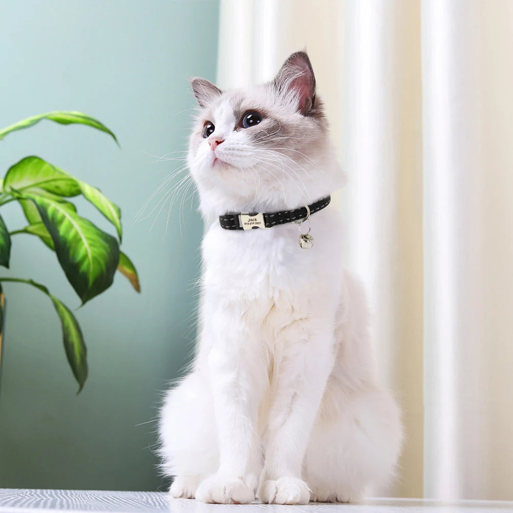 Bella Cat ID Collar Reflective With Bell Free