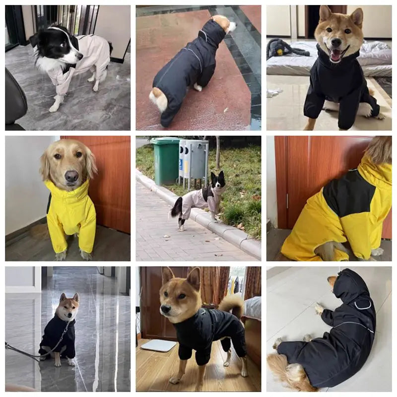 Max Dog Waterproof Jacket Raincoat