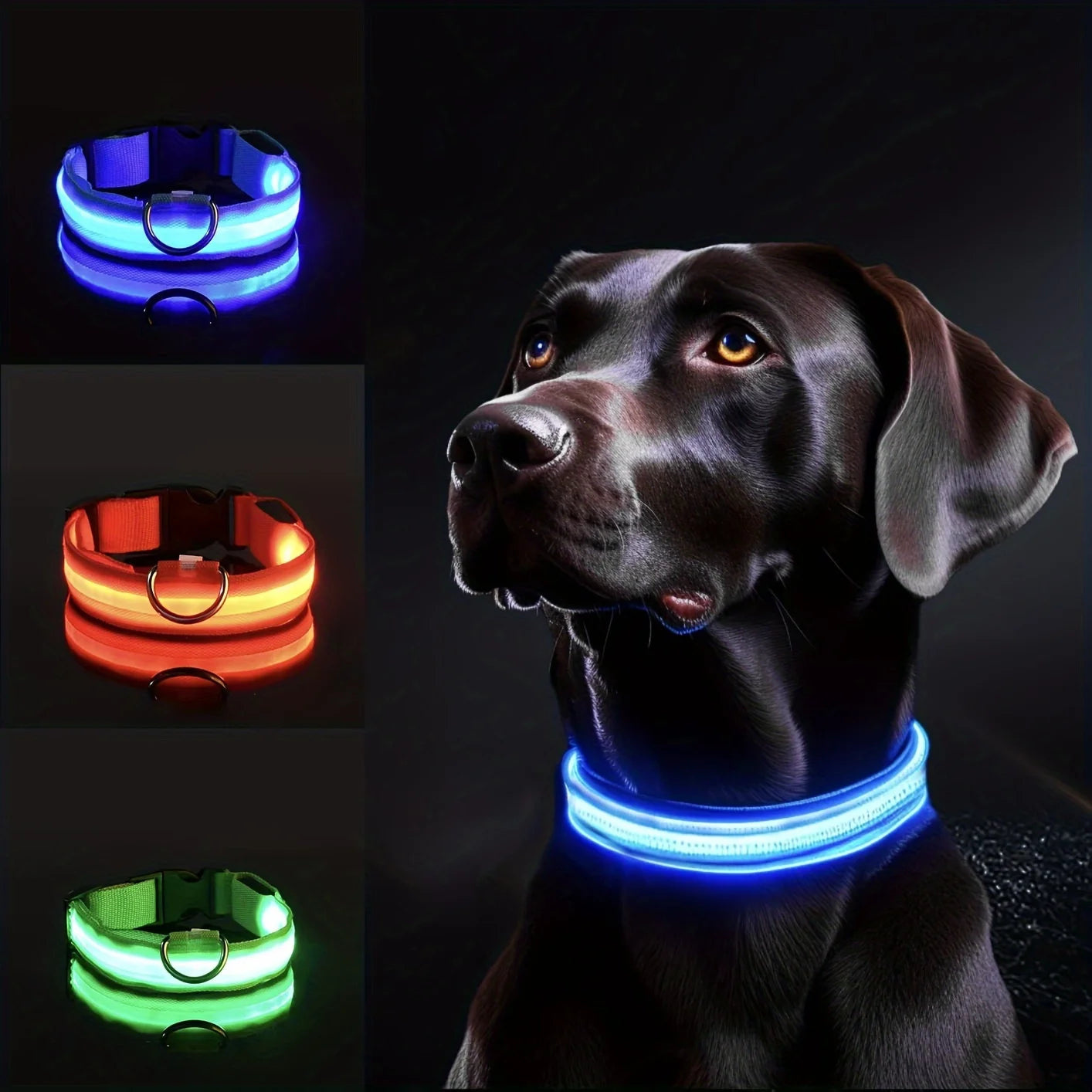 Max Reflective LED Collar for Night Safety