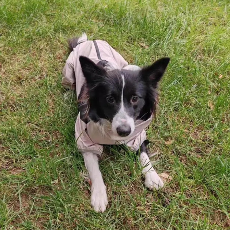 Max Dog Waterproof Jacket Raincoat